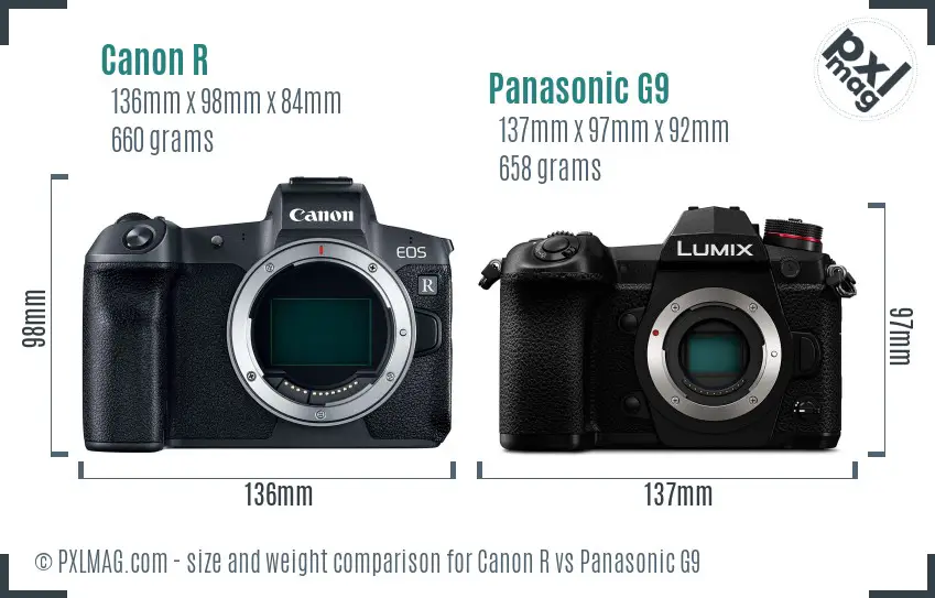 Canon R vs Panasonic G9 size comparison