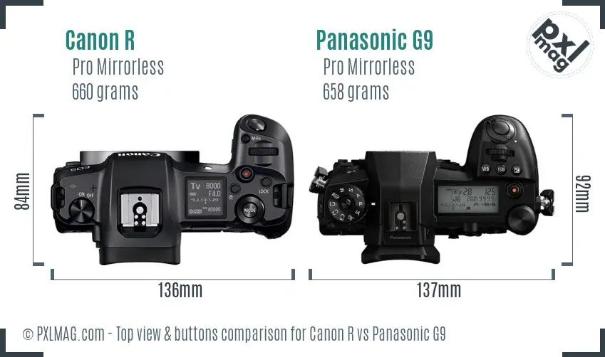 Canon R vs Panasonic G9 top view buttons comparison