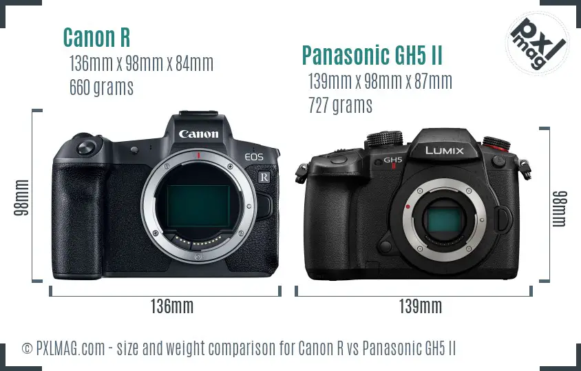 Canon R vs Panasonic GH5 II size comparison