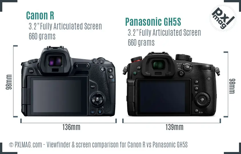 Canon R vs Panasonic GH5S Screen and Viewfinder comparison