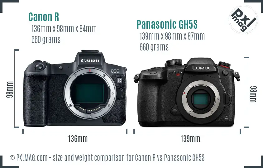 Canon R vs Panasonic GH5S size comparison
