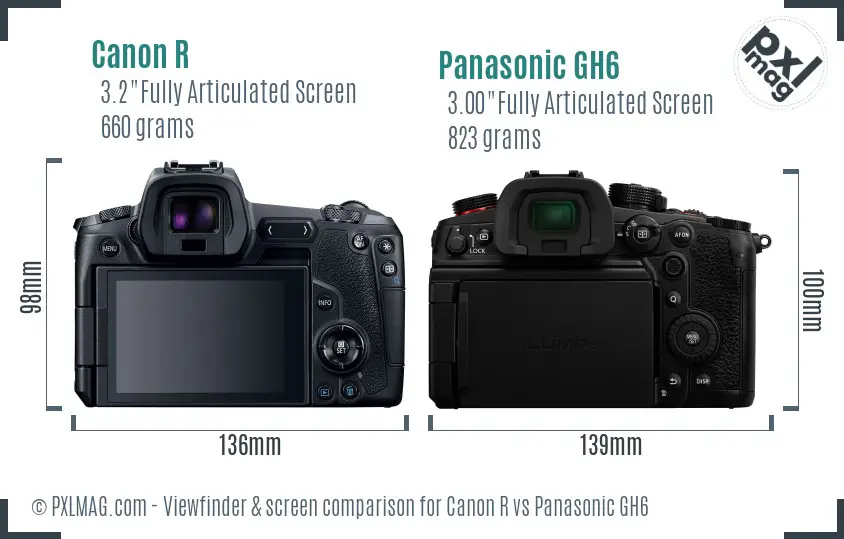 Canon R vs Panasonic GH6 Screen and Viewfinder comparison