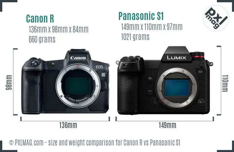 Canon R vs Panasonic S1 size comparison