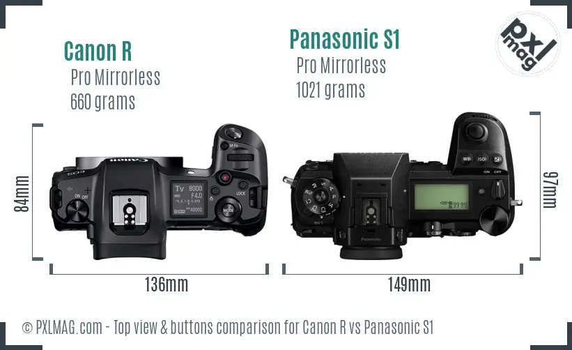 Canon R vs Panasonic S1 top view buttons comparison