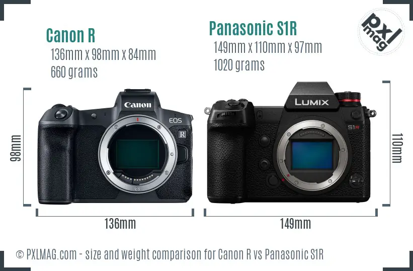 Canon R vs Panasonic S1R size comparison