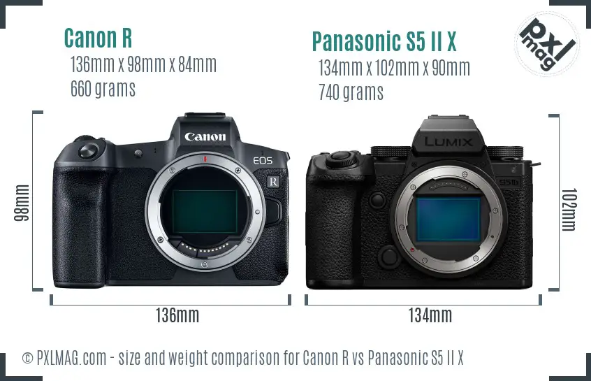 Canon R vs Panasonic S5 II X size comparison