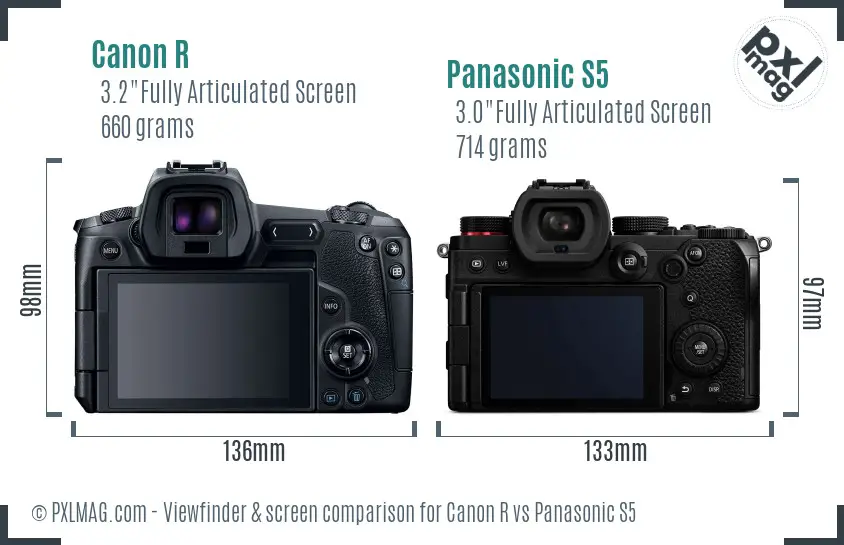 Canon R vs Panasonic S5 Screen and Viewfinder comparison