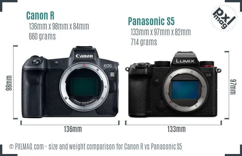 Canon R vs Panasonic S5 size comparison