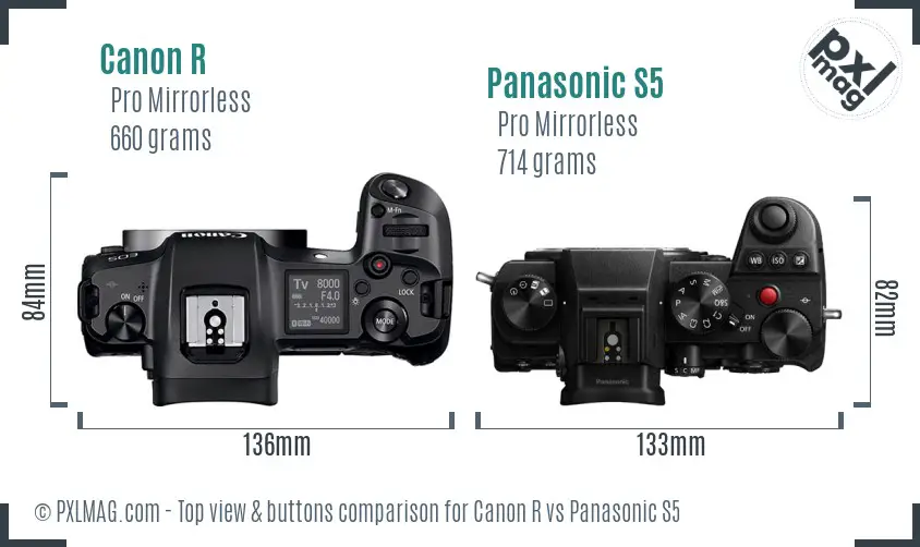 Canon R vs Panasonic S5 top view buttons comparison