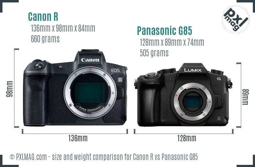 Canon R vs Panasonic G85 size comparison