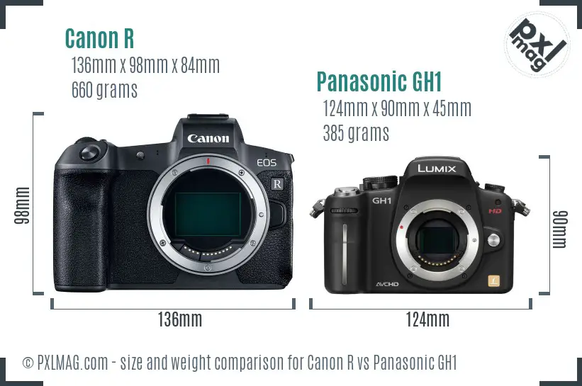 Canon R vs Panasonic GH1 size comparison