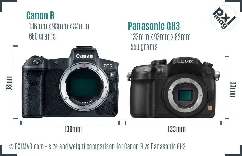 Canon R vs Panasonic GH3 size comparison