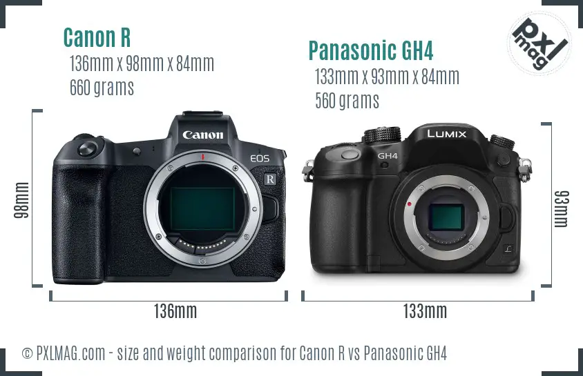 Canon R vs Panasonic GH4 size comparison