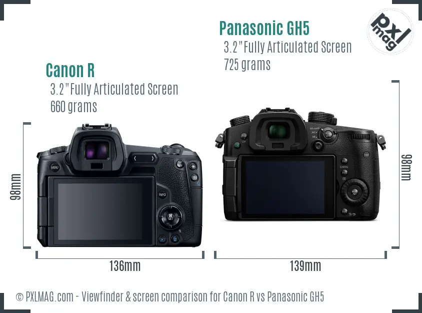 Canon R vs Panasonic GH5 Screen and Viewfinder comparison