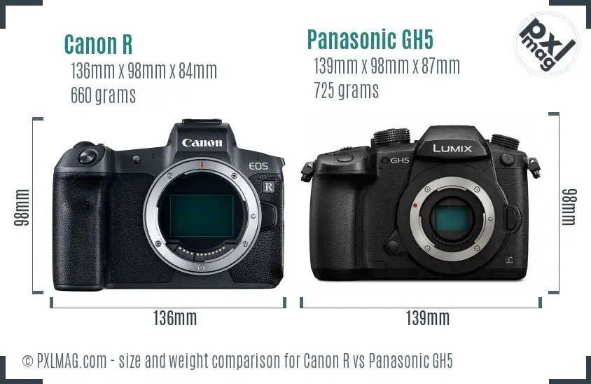 Canon R vs Panasonic GH5 size comparison