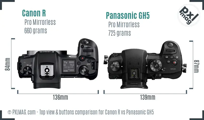 Canon R vs Panasonic GH5 top view buttons comparison