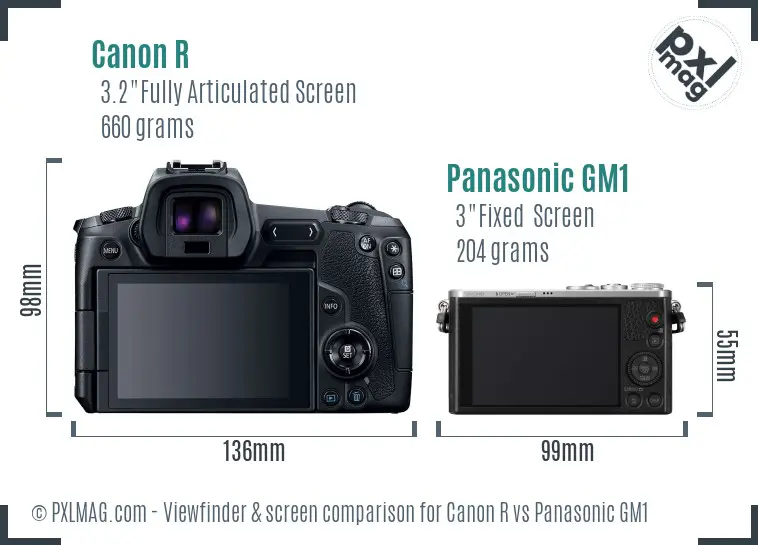 Canon R vs Panasonic GM1 Screen and Viewfinder comparison