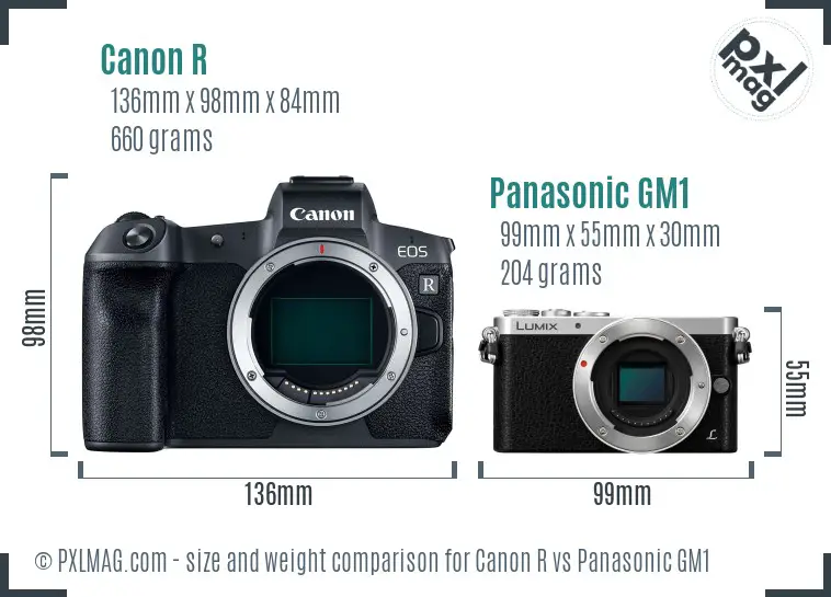 Canon R vs Panasonic GM1 size comparison
