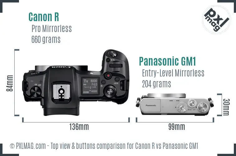 Canon R vs Panasonic GM1 top view buttons comparison