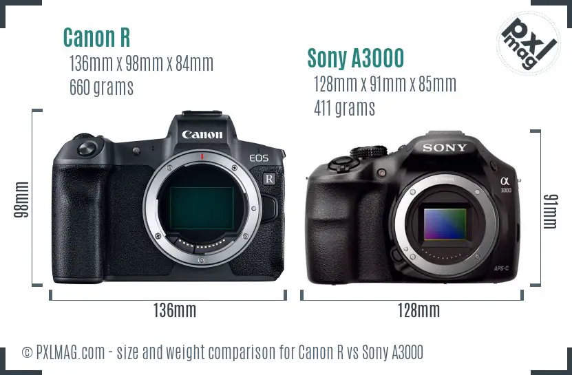 Canon R vs Sony A3000 size comparison