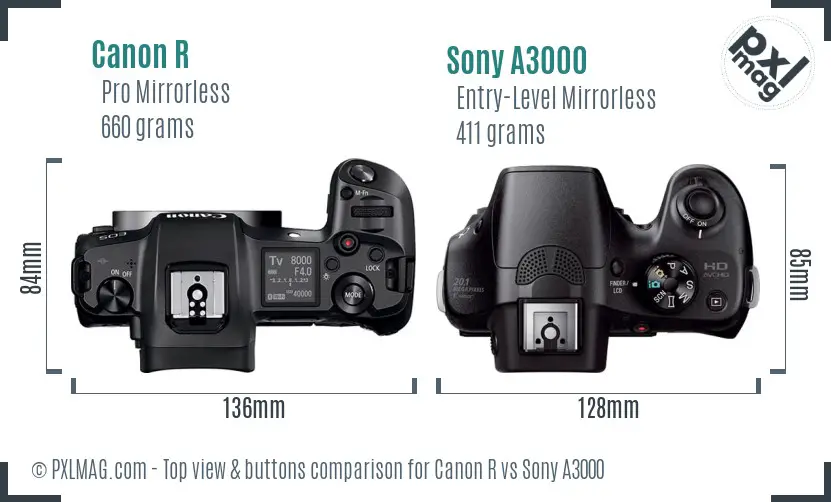 Canon R vs Sony A3000 top view buttons comparison
