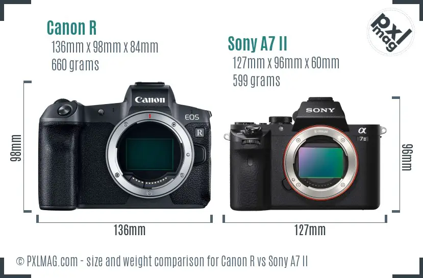 Canon R vs Sony A7 II size comparison