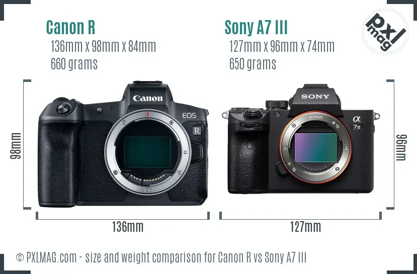 Canon R vs Sony A7 III size comparison