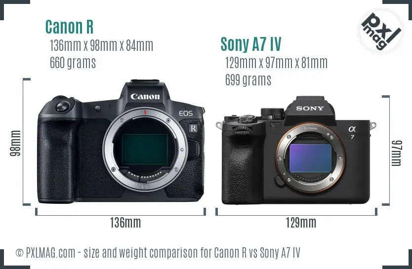 Canon R vs Sony A7 IV size comparison