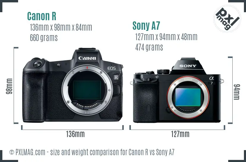 Canon R vs Sony A7 size comparison