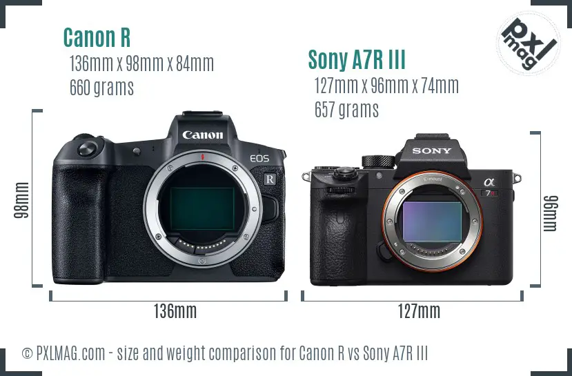 Canon R vs Sony A7R III size comparison