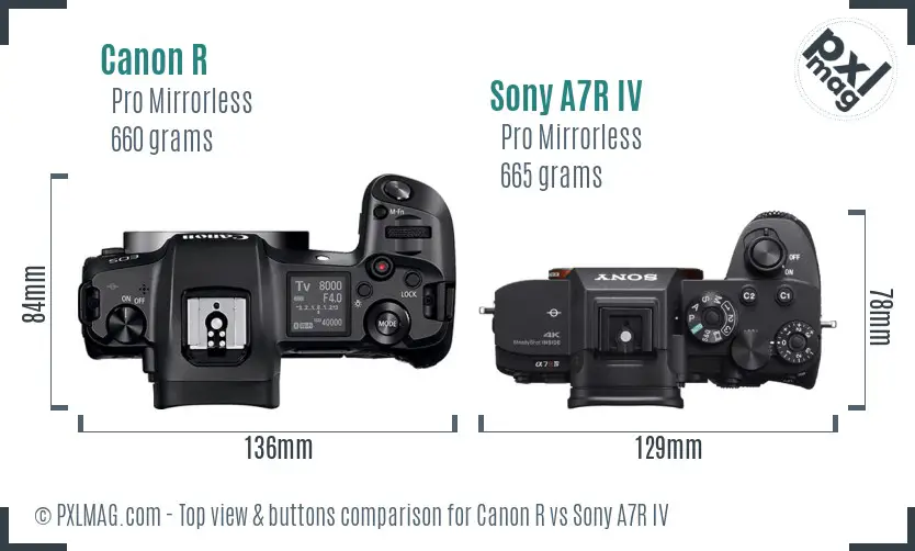 Canon R vs Sony A7R IV top view buttons comparison