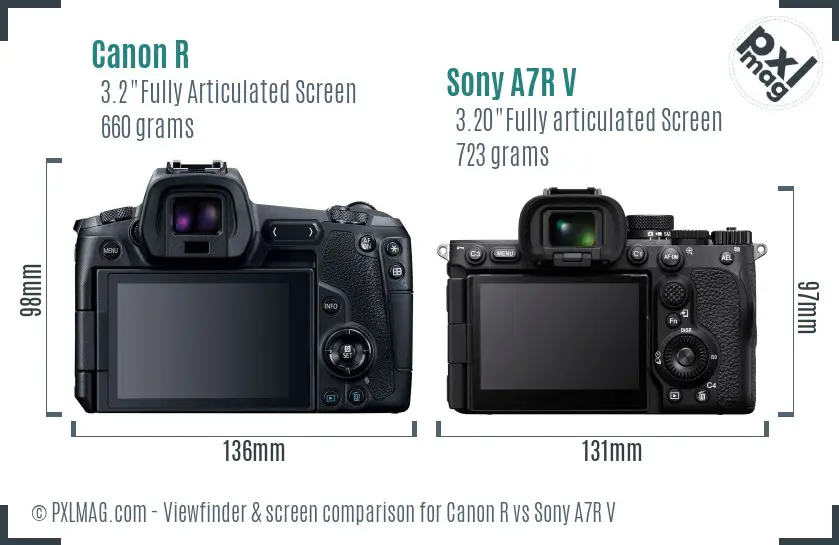 Canon R vs Sony A7R V Screen and Viewfinder comparison