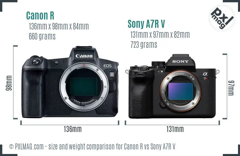 Canon R vs Sony A7R V size comparison