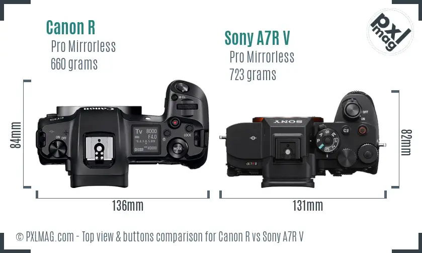 Canon R vs Sony A7R V top view buttons comparison