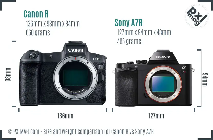 Canon R vs Sony A7R size comparison