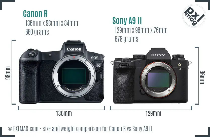 Canon R vs Sony A9 II size comparison