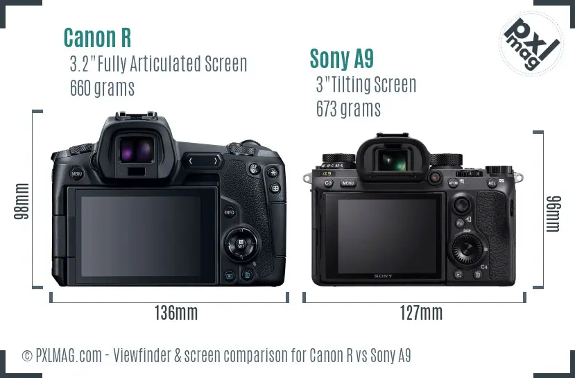Canon R vs Sony A9 Screen and Viewfinder comparison