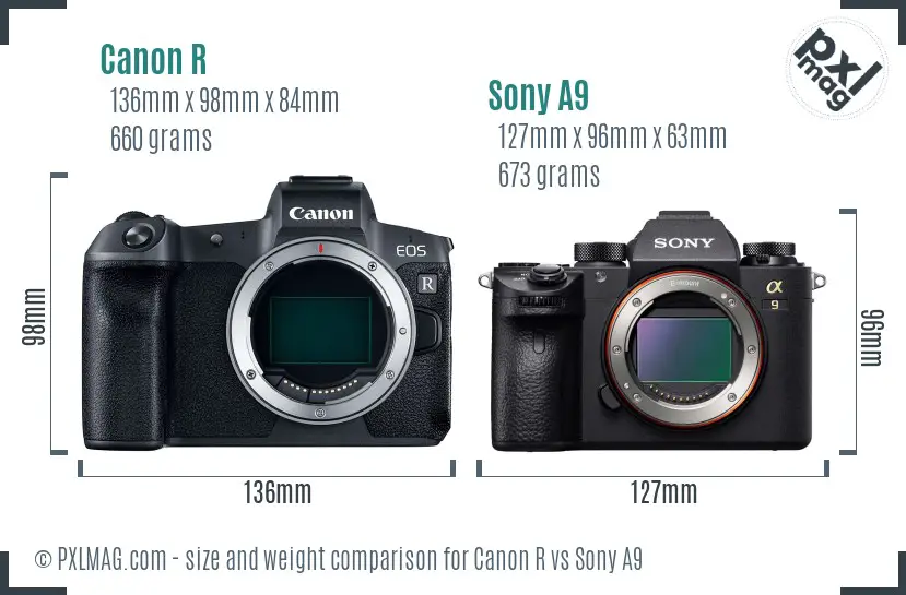 Canon R vs Sony A9 size comparison