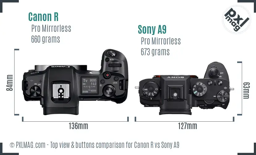 Canon R vs Sony A9 top view buttons comparison