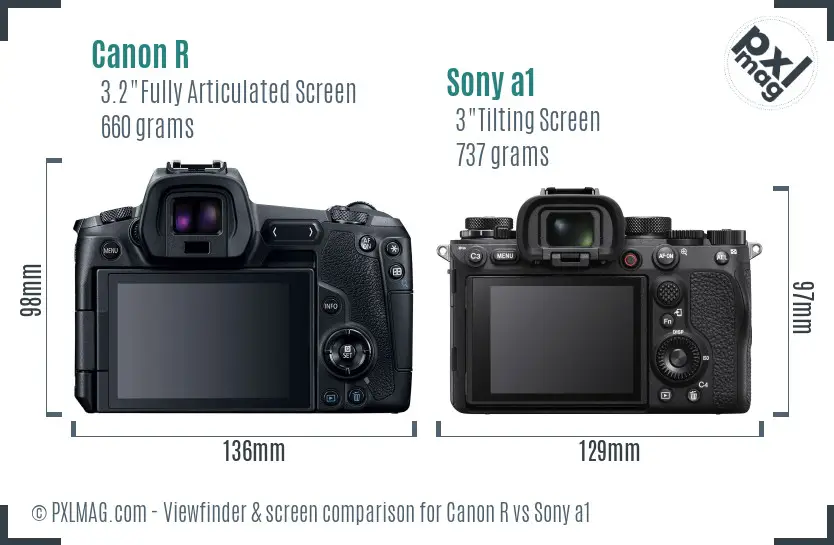 Canon R vs Sony a1 Screen and Viewfinder comparison