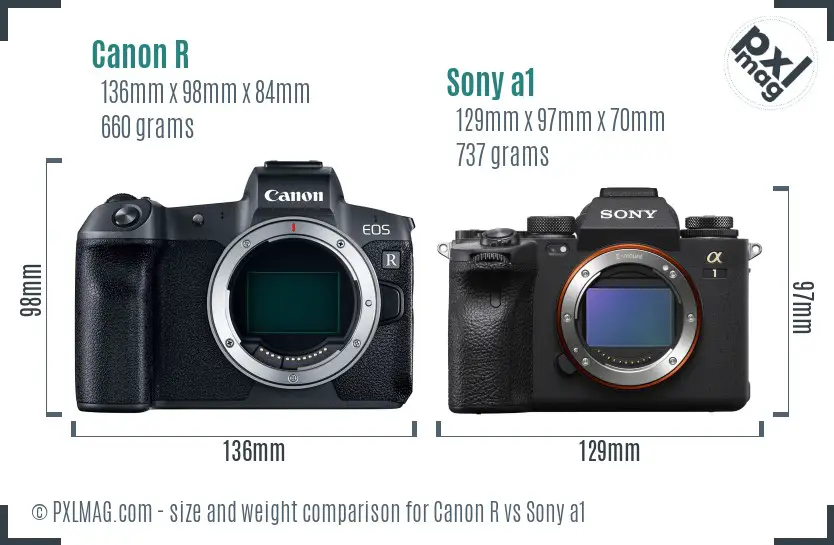 Canon R vs Sony a1 size comparison
