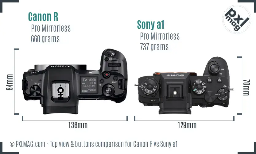 Canon R vs Sony a1 top view buttons comparison