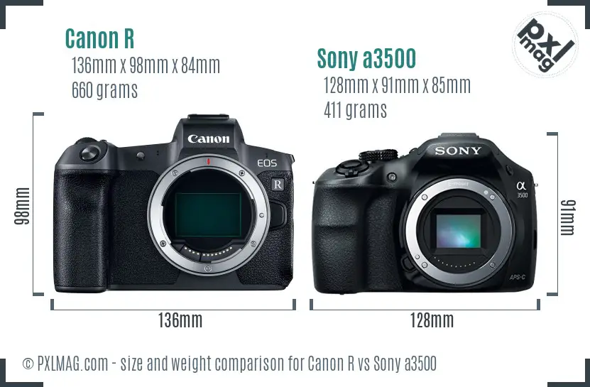 Canon R vs Sony a3500 size comparison