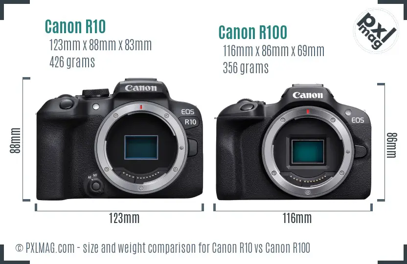 Canon R10 vs Canon R100 size comparison