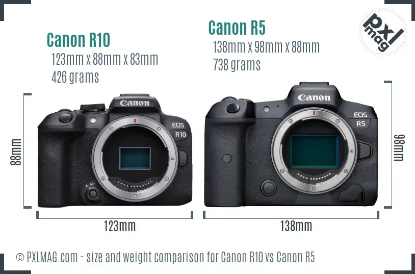 Canon R10 vs Canon R5 size comparison