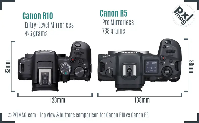 Canon R10 vs Canon R5 top view buttons comparison