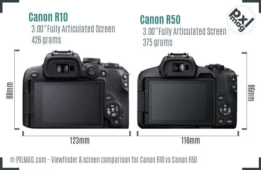Canon R10 vs Canon R50 Screen and Viewfinder comparison