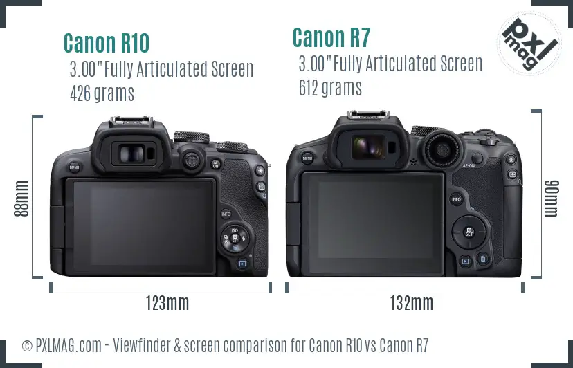 Canon R10 vs Canon R7 Screen and Viewfinder comparison