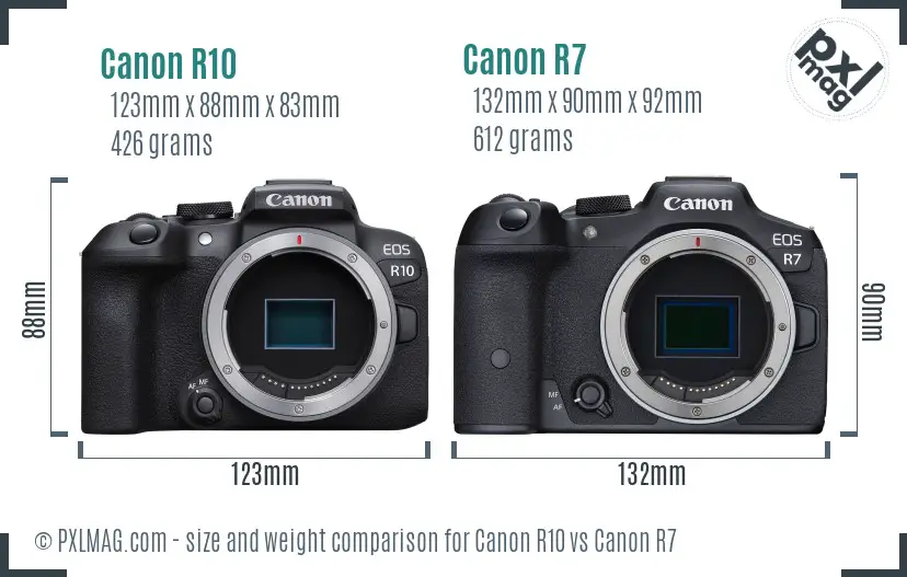 Canon R10 vs Canon R7 size comparison
