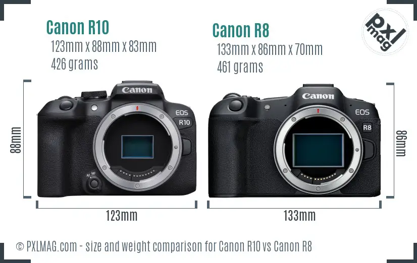Canon R10 vs Canon R8 size comparison